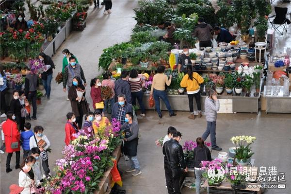 彩龍社區(qū)網(wǎng)友@大漠蒼狼 拍攝2