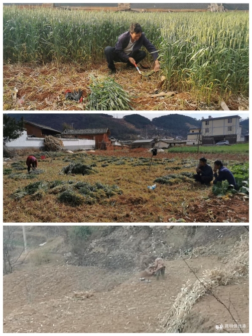 微信圖片_20200311155558 微信圖片_20200311155558