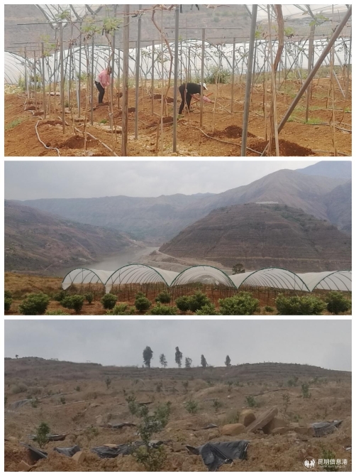 微信圖片_20200311155544 微信圖片_20200311155544