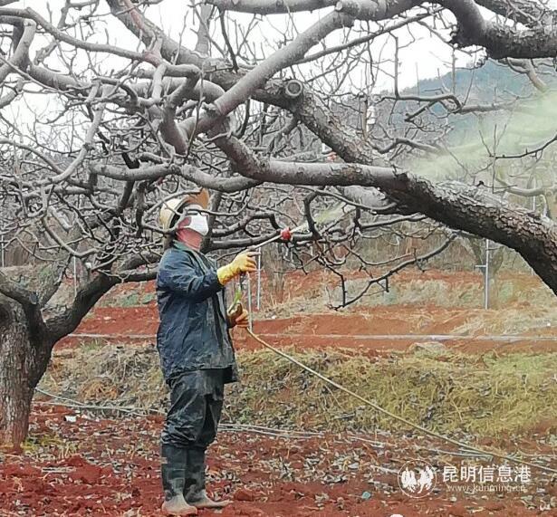 QQ截圖20200311170047