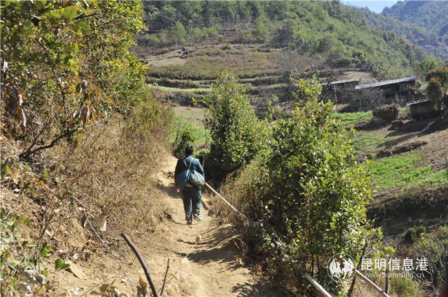 孤單的郵路，幸福而滿足的心（甘靜 攝）