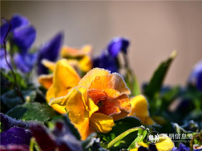 1056335221 1056335221