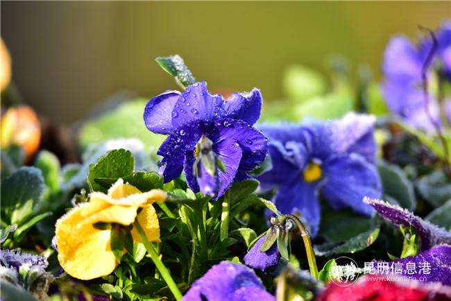 1066700516 1066700516