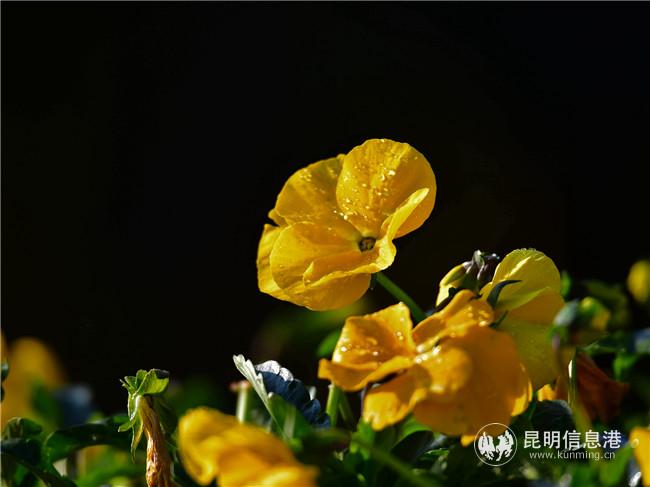 1128840504 1128840504