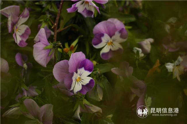 1320825200 1320825200