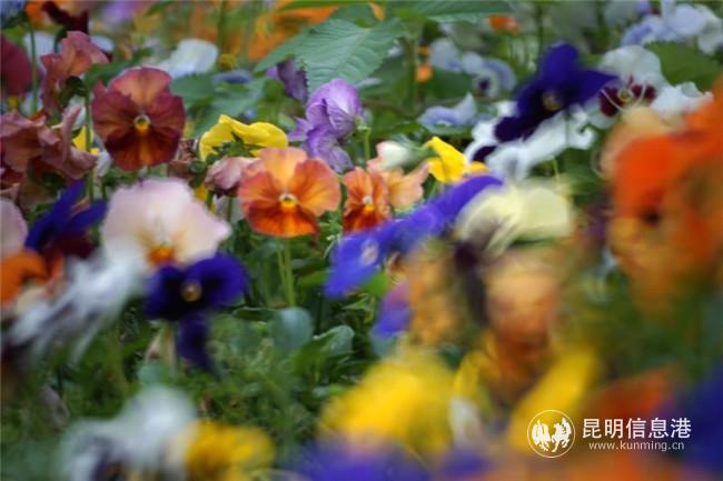 1455673434 1455673434