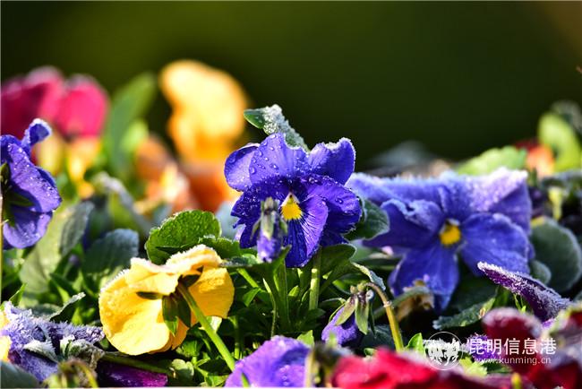 1556640133 1556640133