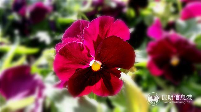 1561449329 1561449329