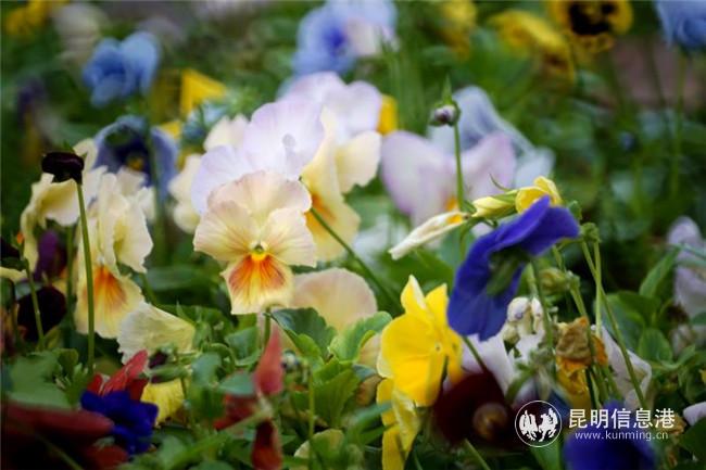 1704433793 1704433793