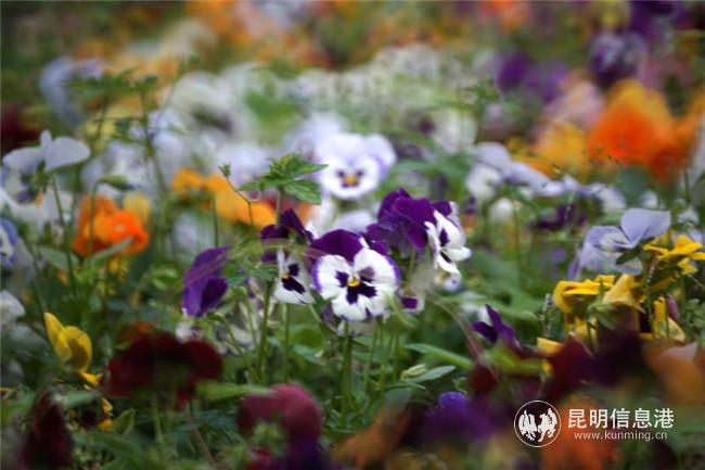 1886631479 1886631479