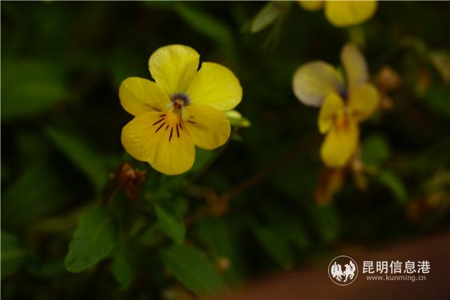 2032335995 2032335995