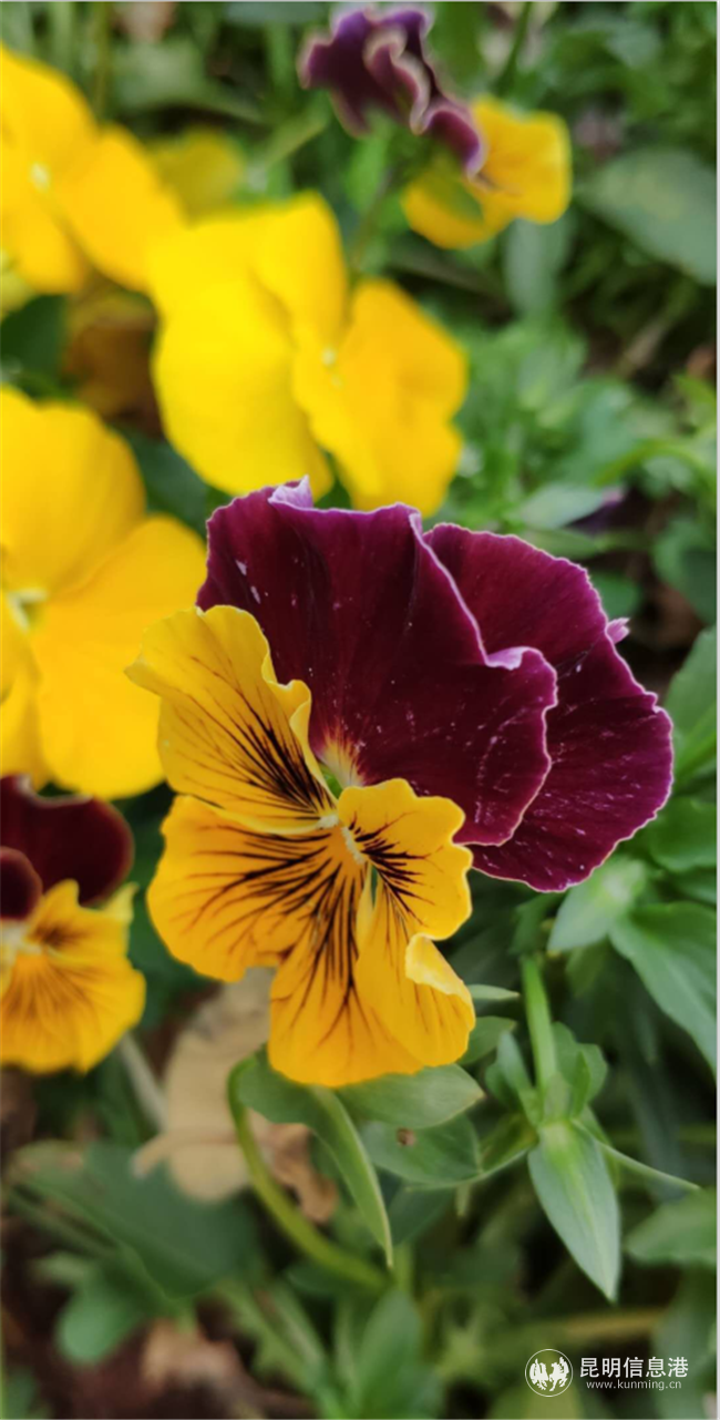 G%@BSKW%3_U[BSE$4L`KH_8 G%@BSKW%3_U[BSE$4L`KH_8