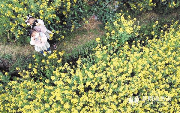 zw_20200306145158 zw_20200306145158