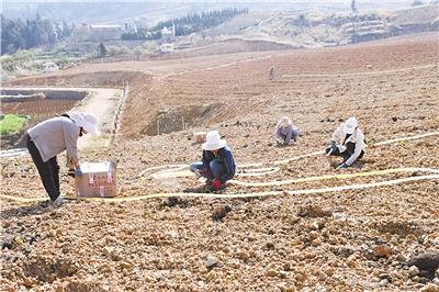 田間地頭 田間地頭