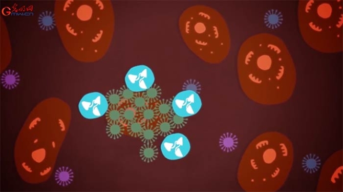 科技戰(zhàn)疫系列動(dòng)畫(huà)④“古老”的血漿療法能否“出奇制勝”？