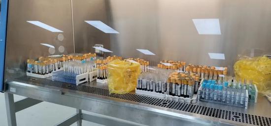  “紅區(qū)”部分新冠患者血液標(biāo)本。王華攝影