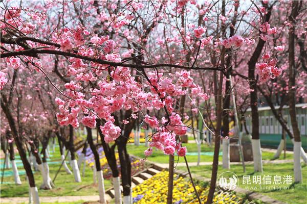 微信圖片_20200313195745 微信圖片_20200313195745