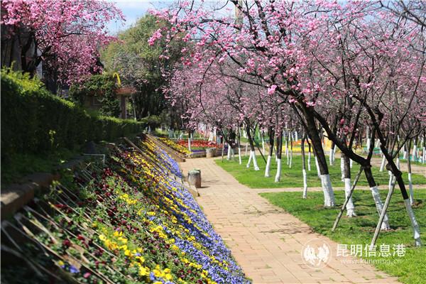 微信圖片_20200313195811 微信圖片_20200313195811