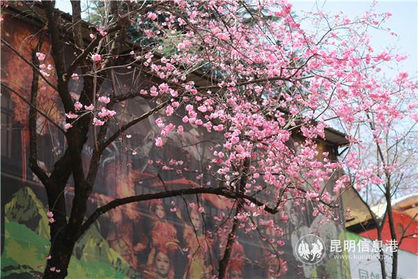 微信圖片_20200313200001 微信圖片_20200313200001