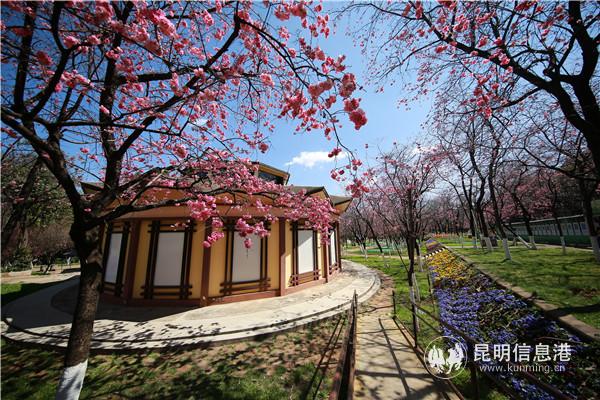 微信圖片_20200313200901 微信圖片_20200313200901