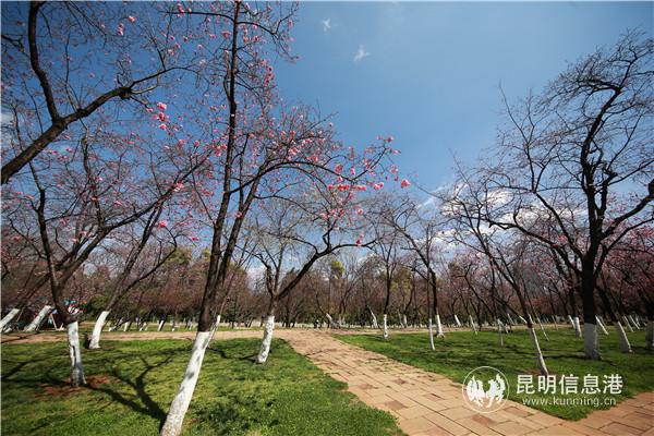 微信圖片_20200313202030 微信圖片_20200313202030