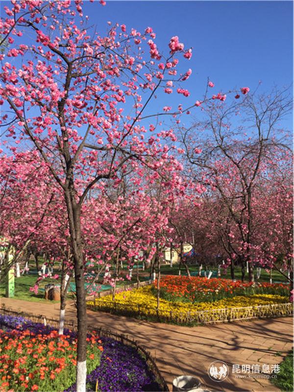 微信圖片_20200313232611 微信圖片_20200313232611