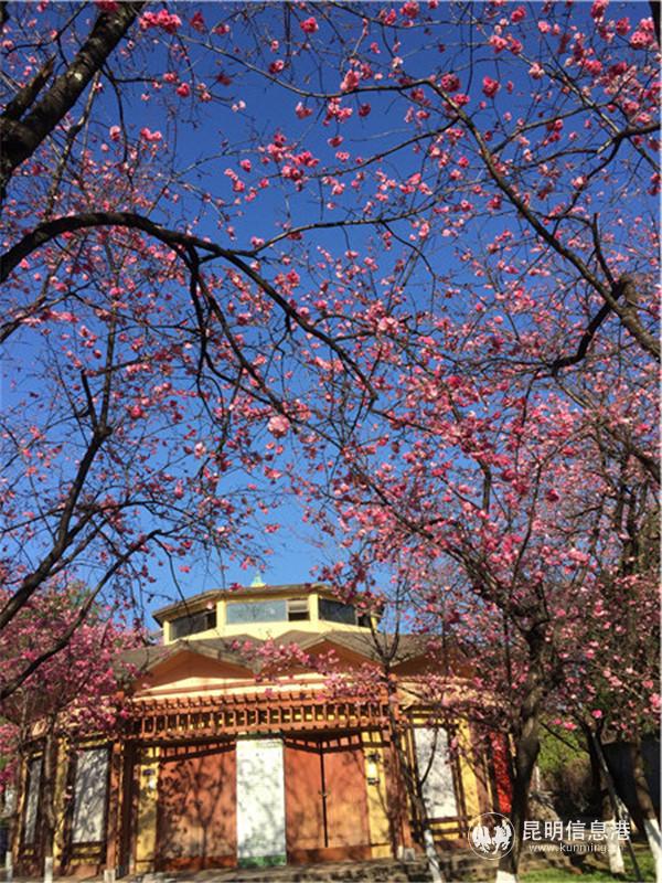 微信圖片_20200313232623 微信圖片_20200313232623