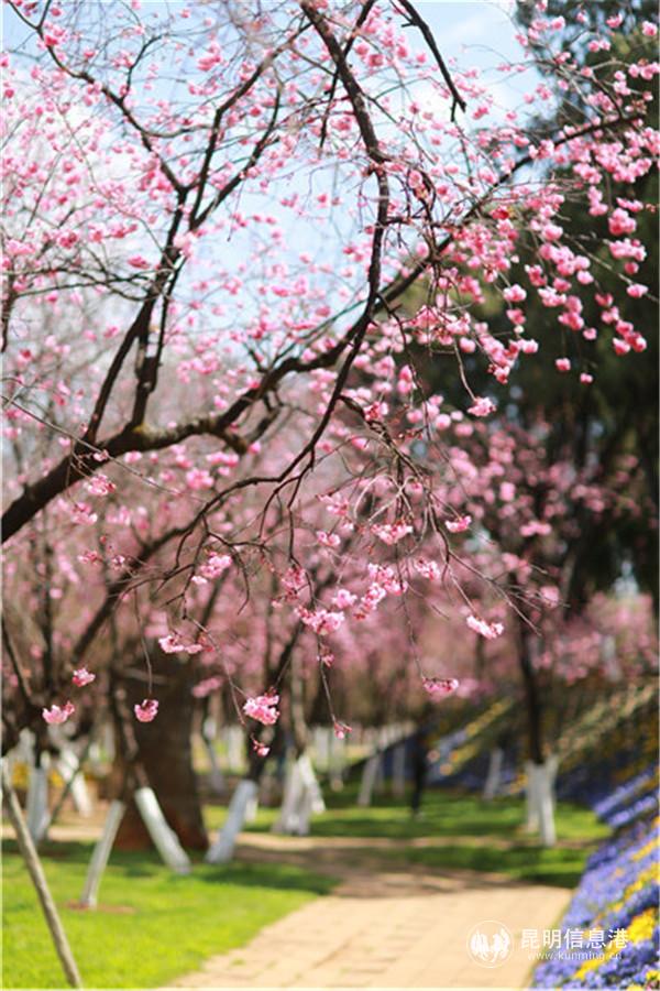 微信圖片_20200313201225 微信圖片_20200313201225