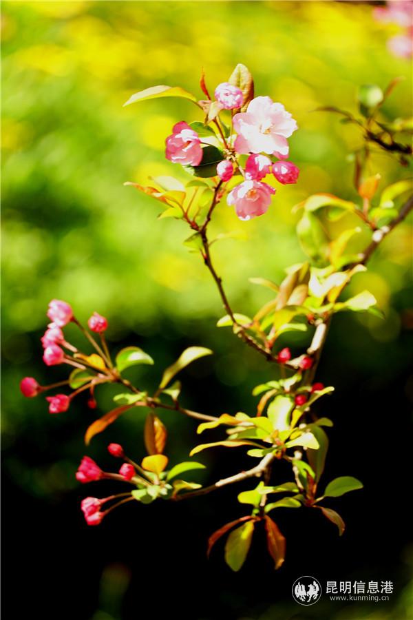 1050346812 1050346812