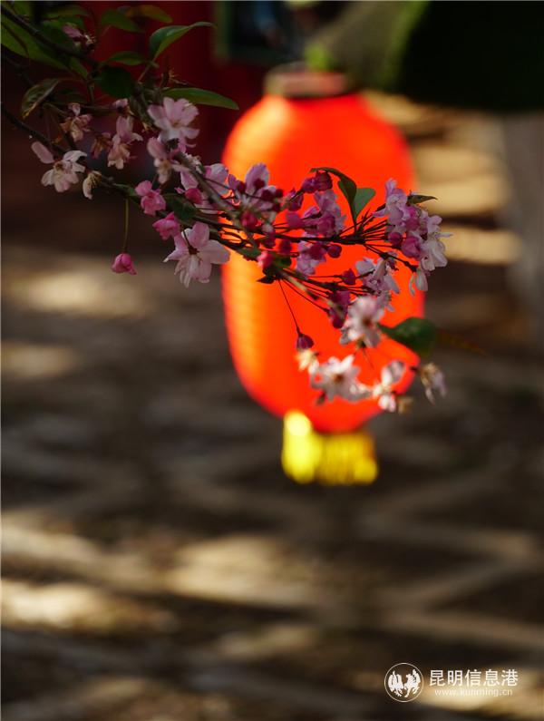 1247183196 1247183196