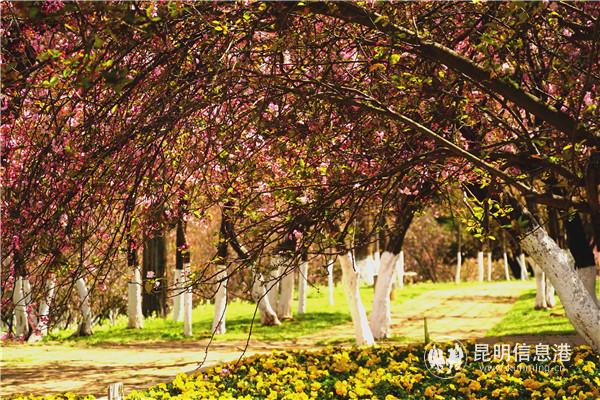 1781273027 1781273027