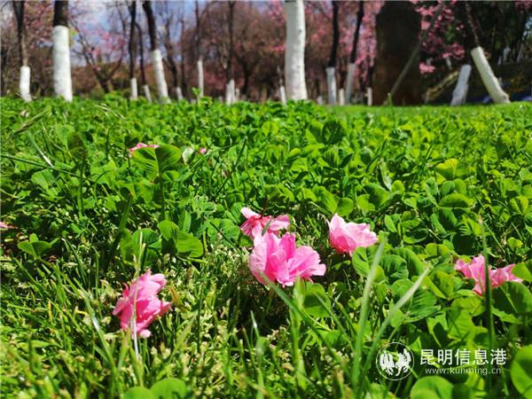 微信圖片_20200314003210 微信圖片_20200314003210