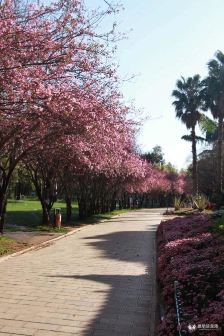 微信圖片_20200314200124 微信圖片_20200314200124