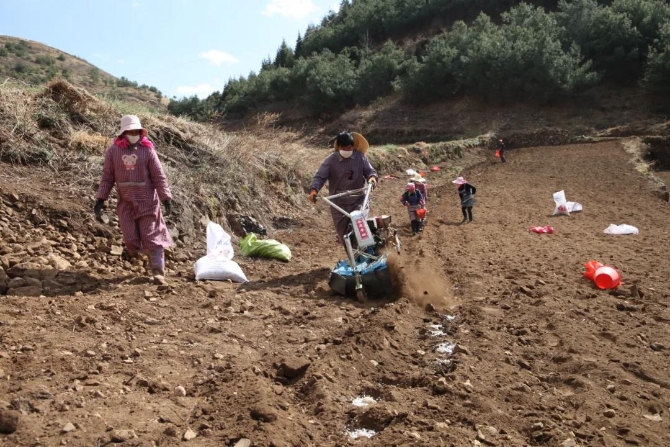 微信圖片_20200315144607 微信圖片_20200315144607