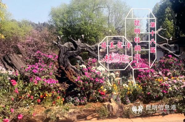 微信圖片_20200315175116 微信圖片_20200315175116