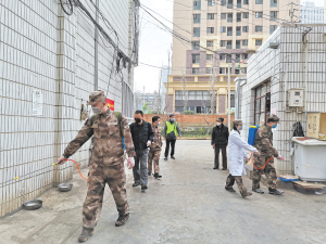 5061584295372203 5061584295372203