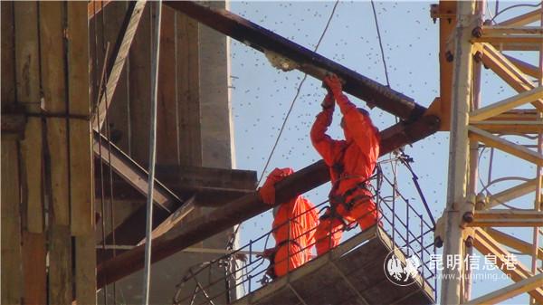 微信圖片_20200316105901 微信圖片_20200316105901