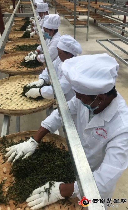 t2_(0X42X600X382)7420b5ec-ca75-4c5d-aec9-b5e1528ba1cb t2_(0X42X600X382)7420b5ec-ca75-4c5d-aec9-b5e1528ba1cb