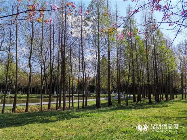 QQ圖片20200318173306 QQ圖片20200318173306