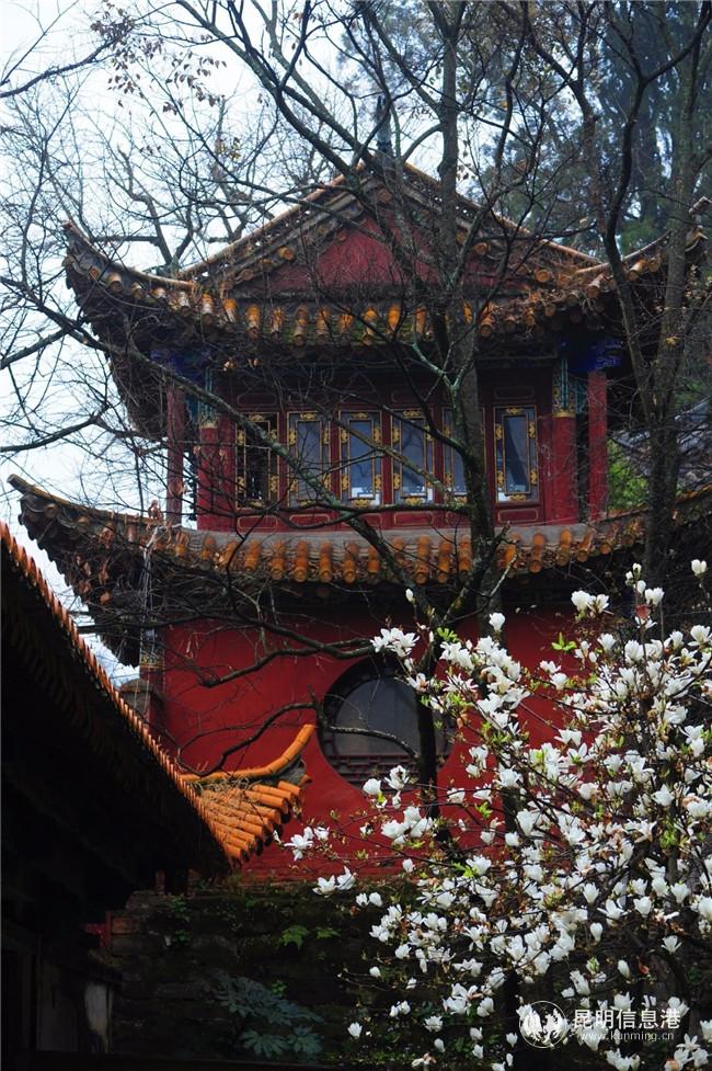 QQ圖片20200318165927 QQ圖片20200318165927