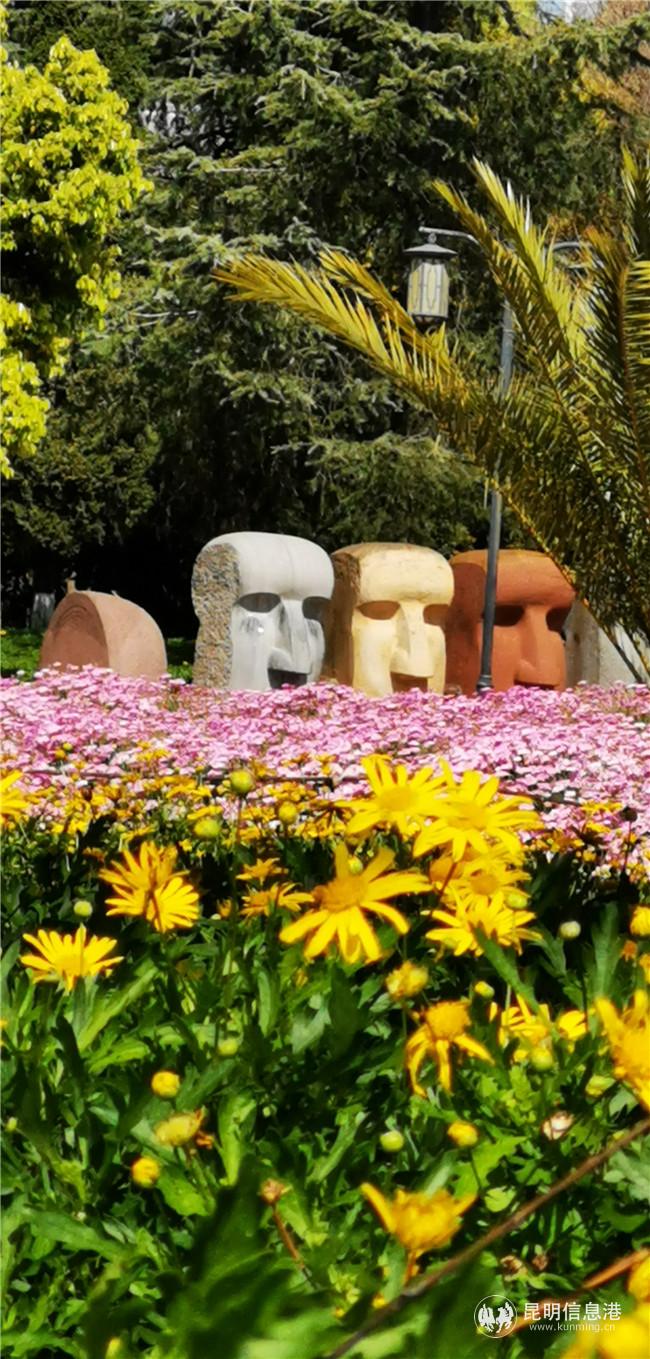 1068972333 1068972333