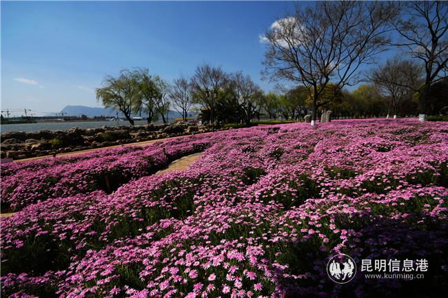 1157199358 1157199358