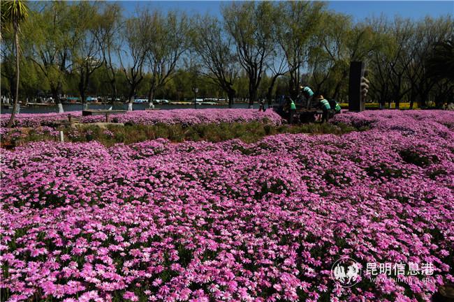 1203494238 1203494238