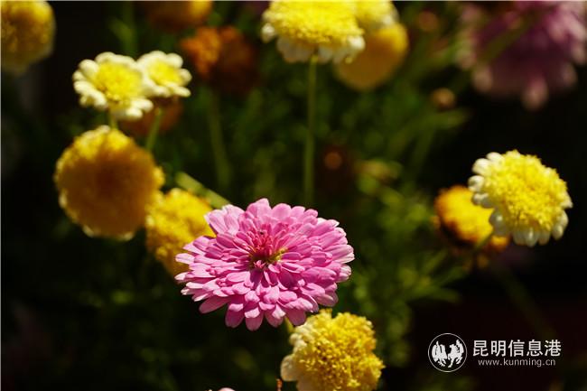 1260283370 1260283370