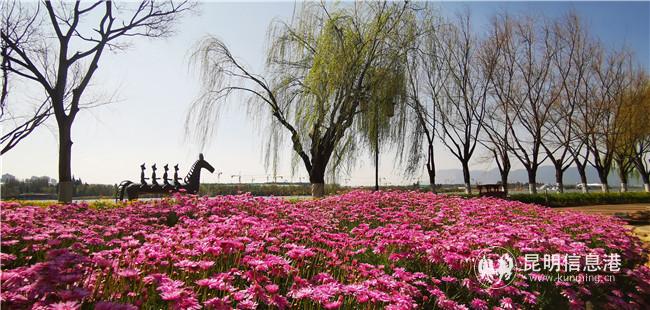 1779743920 1779743920