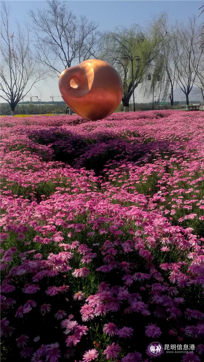 1863915517 1863915517