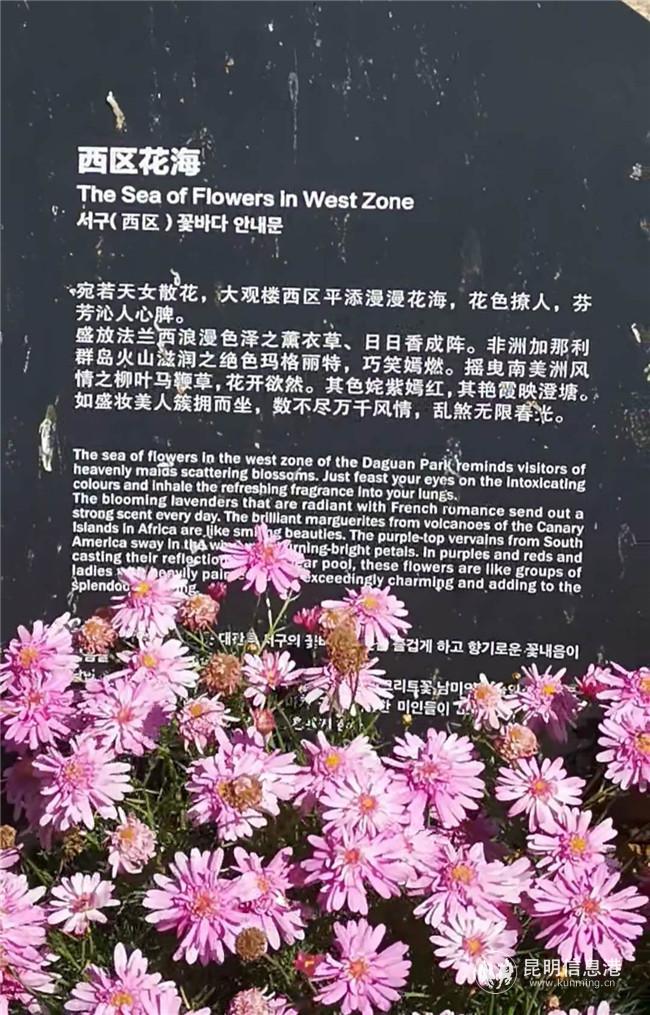 IMG_20200318_204904 IMG_20200318_204904