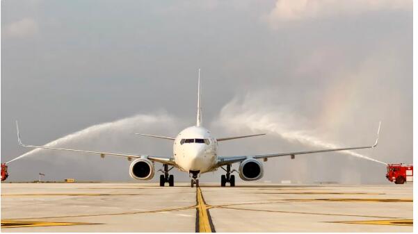 1.webp (2) 1.webp (2)