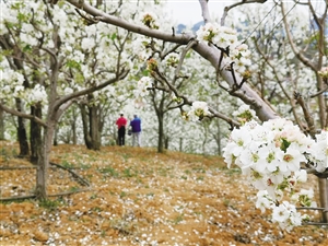 20200319A16_res16_attpic_icon