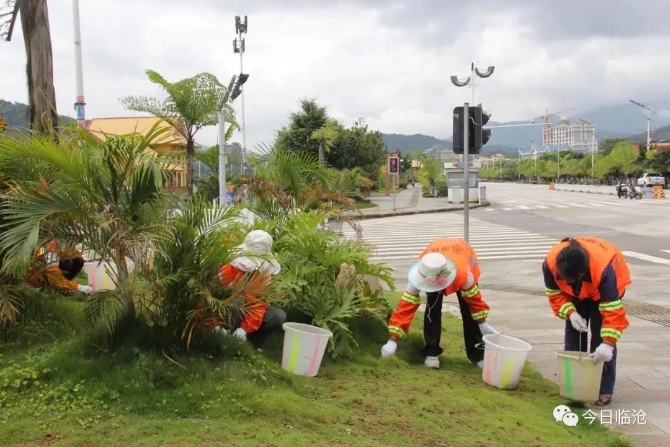 農(nóng)村人居環(huán)境整治村莊清潔行動方案